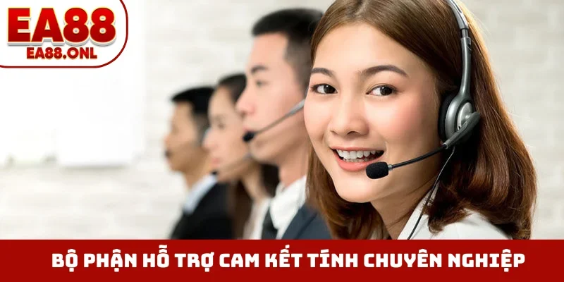 Bộ phận hỗ trợ cam kết tính chuyên nghiệp